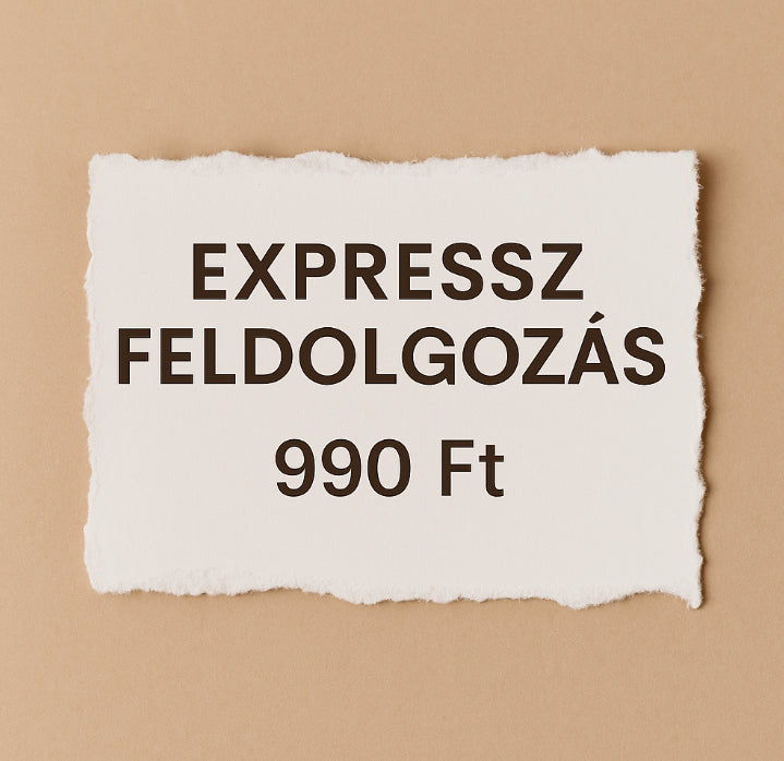 Expressz Feldolgozás – Elsőbbségi Csomagkezelés