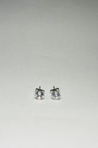 Ferro Jewelry - Fülbevaló - Lustro - Nemesacél Fülbevaló Kollekció